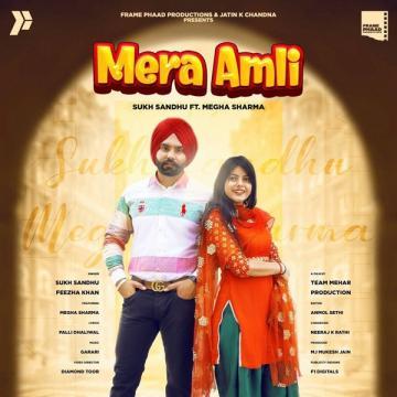 download Mera-Amli-Feeza-Khan Sukh Sandhu mp3